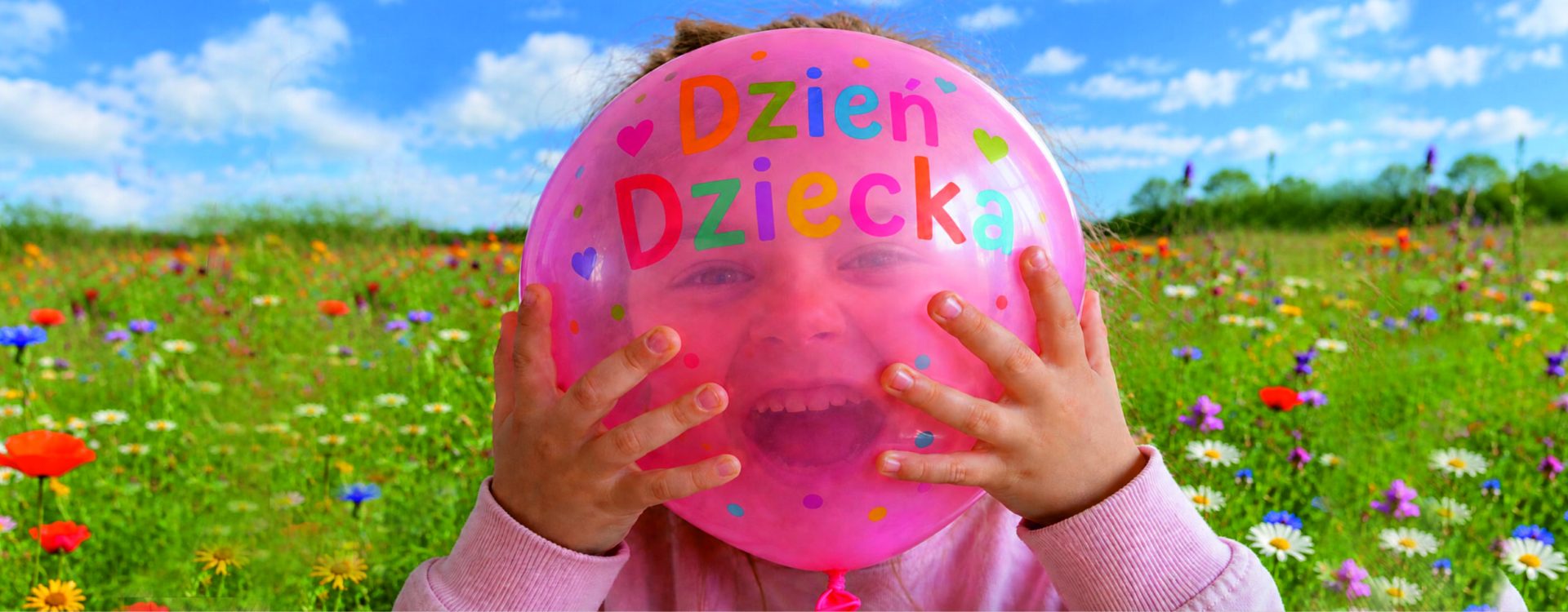 https://womgorz.edu.pl/